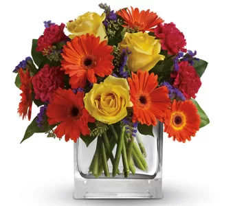Gift Delivery - Send a Basket - petals a37 citrus splash 95